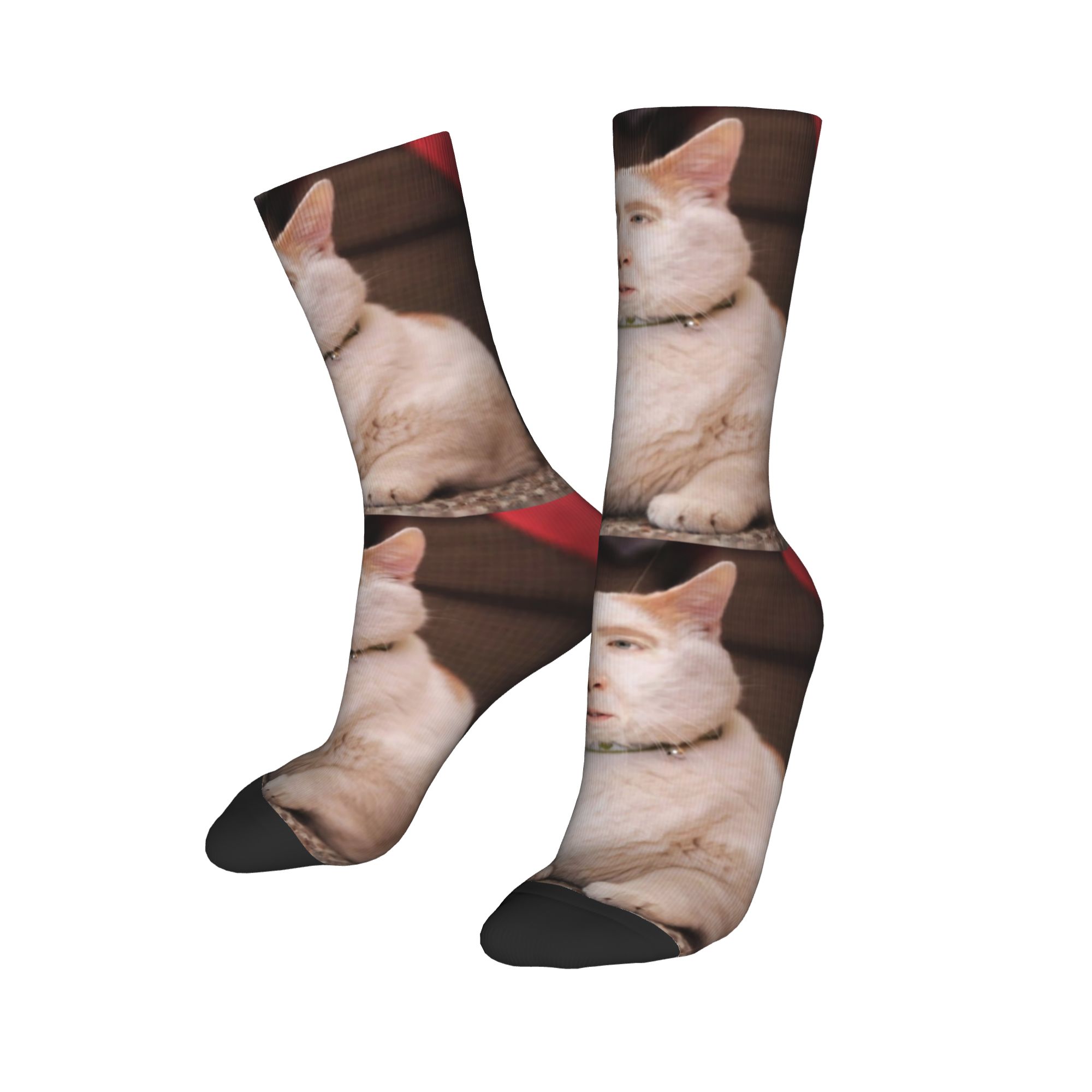 Aangepaste Nicolas Cage Cat Me - Dress Sock Men recensie en prijs